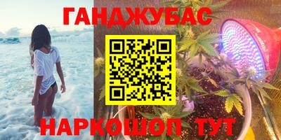 шишки Будённовск