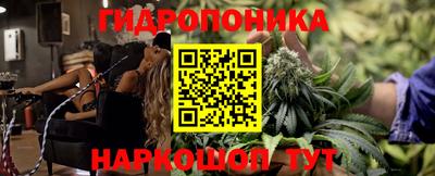 PSILOCYBIN Бугуруслан