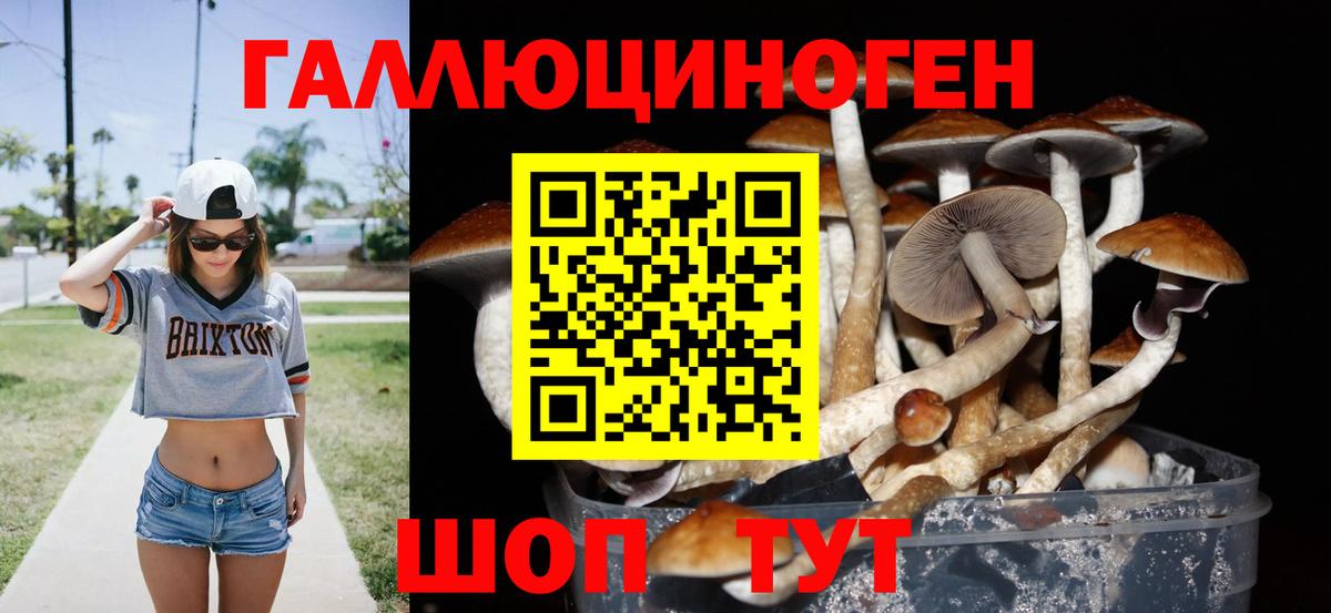 Лосино-Петровский  Псилоцибиновые грибы Psilocybine cubensis  Вход с VPN  Галлюциногенные грибы мухоморы 